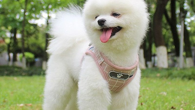 成都冷库安装后如何调试